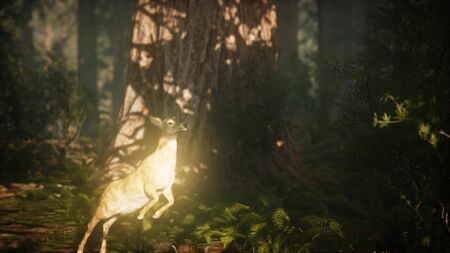 extreme slow motion deer jump in pine forest. 960 FPSの写真素材