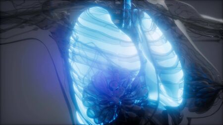 science anatomy scan of human lungs glowingの写真素材