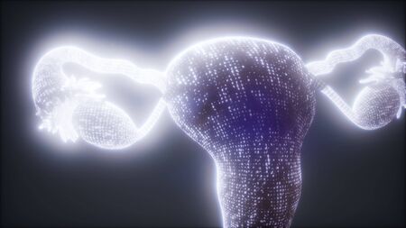 Female Reproductive System Anatomy animationの写真素材