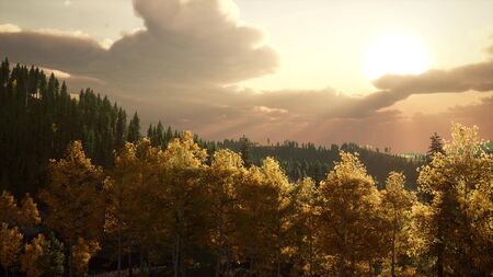 summer forest in mountain landscape at sunset
