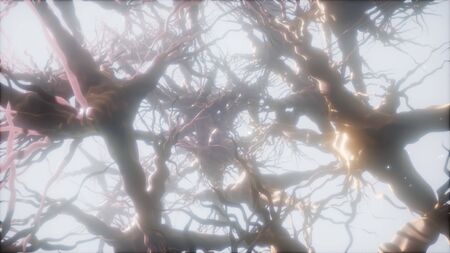 Journey through a neuron cell network inside the brain