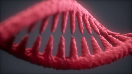 DNA molecule on the grey background