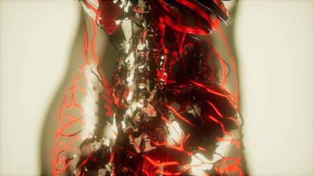 inspection of blood in the blood vessels of the circulatory system