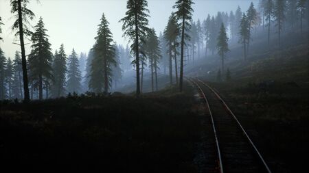 National Forest Recreation Area and the fog with railwayの写真素材
