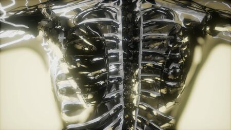 inspection of blood in the blood vessels of the circulatory systemの写真素材