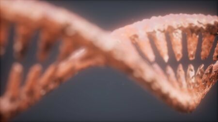 DNA molecule on the grey backgroundの写真素材