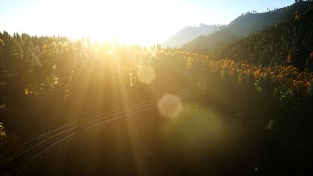 Aerial Drone View Flight over pine tree forest in Mountain at sunset