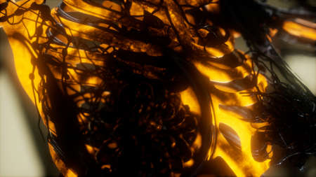 human skeleton bones scan glowing
