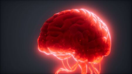 animated model of human brainの写真素材