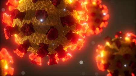 Coronavirus COVID-19 medical micro model