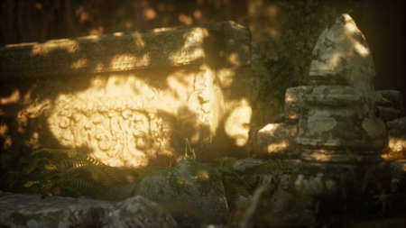 Hoary ruins of ancient city in pine forestの写真素材