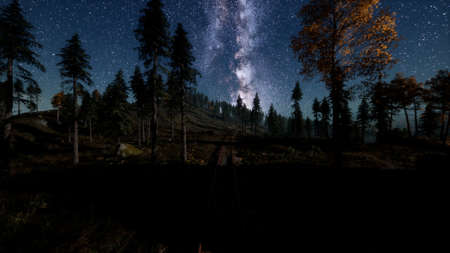 The milky way above the railway and forestの写真素材