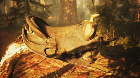 vintage Leather horse saddle on the dead tree in forest at sunsetの写真素材