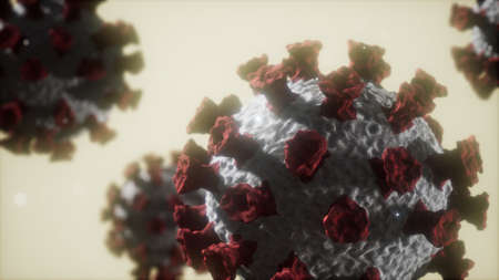 Corona virus Covid 19 macro model