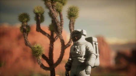 Astronauth in the high desert of Nevadaの写真素材