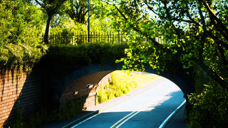 arch bridge with living bush branches in park