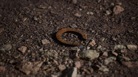 one old rusty metal horseshoe