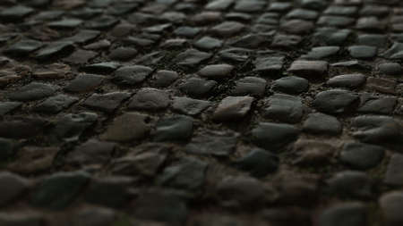 Stone blocks in the walkway
