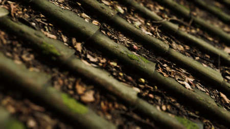 Old tile roof with moss