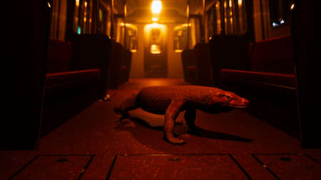 comodo dragon in underground metro station