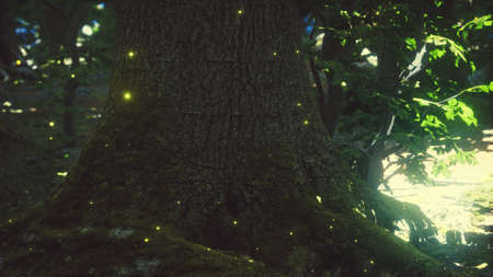 Fantasy firefly lights in the magical forest