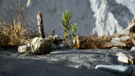 An old torn soccer ball thrown lies on sand of sea beachの写真素材