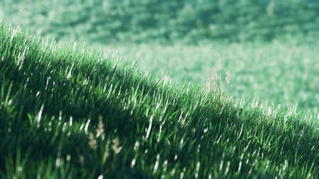 8K green grass field on hills backgroundの写真素材