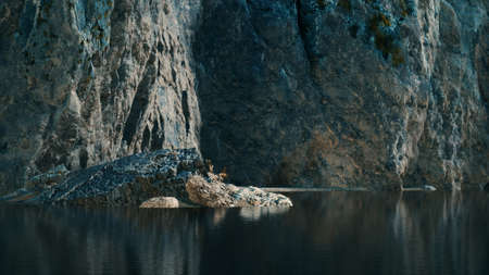 seascape with white rocky cliffs in sea bayの写真素材