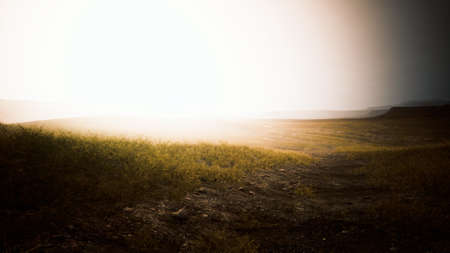 dry yellow grass on the rocky mountain with heavy fog