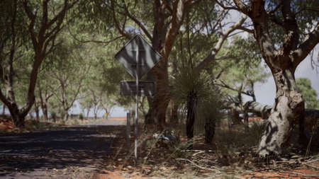 outback road with dry grass and treesの写真素材
