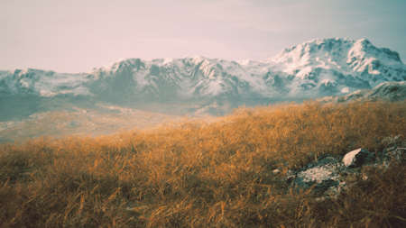 dry grass and snow covered mountains in Alaskaの写真素材