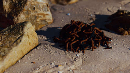 old rusted abandoned chain on sand beachの写真素材