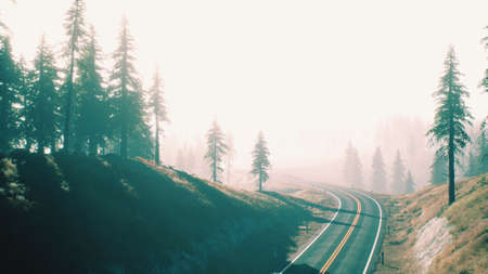 road through the russian taiga forest from aerial viewの写真素材