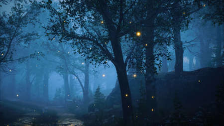 foreat at hight with bright moon light