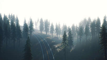 road through the russian taiga forest from aerial viewの写真素材