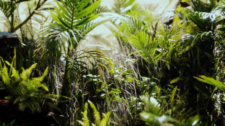 close up jungle grass and plants