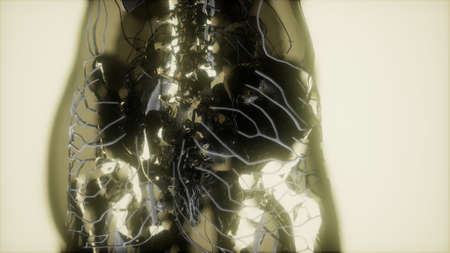 inspection of blood in the blood vessels of the circulatory system