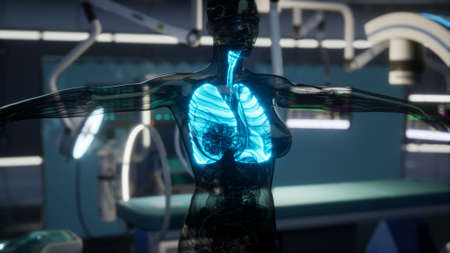 Human Lungs Radiology Exam in Laboratoryの写真素材