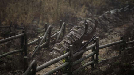 Russian old village on the edge of the forest is destroyedの写真素材