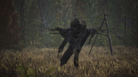 terrible scarecrow in dark cloak and dirty hat stands alone in autumn field at sunset timeの写真素材