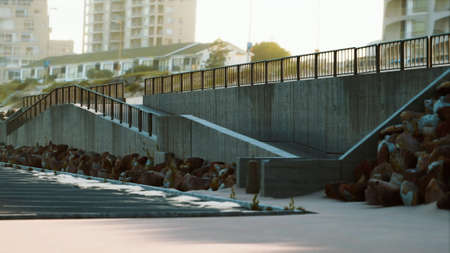 parking near the sand beachの写真素材