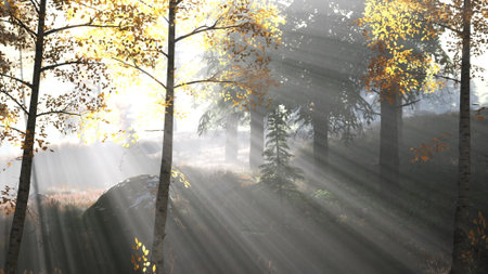 bright early morning forest in mountainsの写真素材