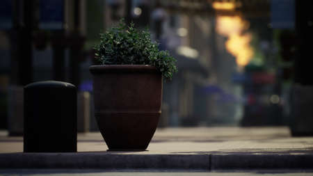 empty streets during lockdownの写真素材