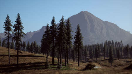 Rocky mountain range with treesの写真素材