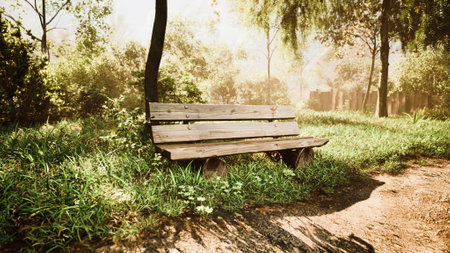 Wooden bench in nature by the treeの写真素材