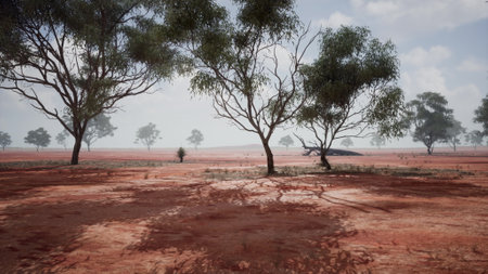 A group of trees in the middle of a dirt field