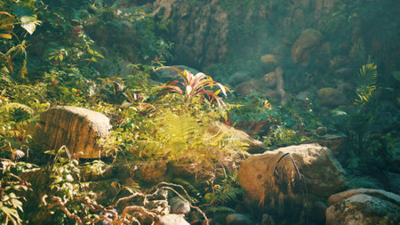 A serene forest landscape with rocky terrainの写真素材