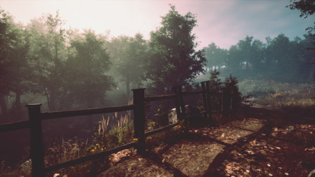 A screenshot of a wooded area with a fenceの写真素材