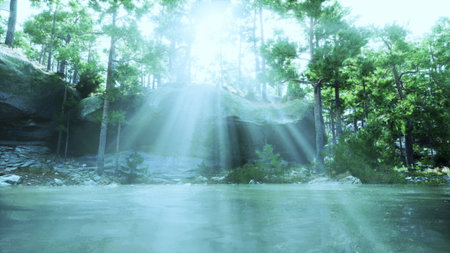 The suns rays filter through the dense forest, casting intricate patterns of light and shadow on the ground below.の写真素材