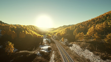 A Serpentine Path Through the Enchanting Mountain Forestの写真素材
